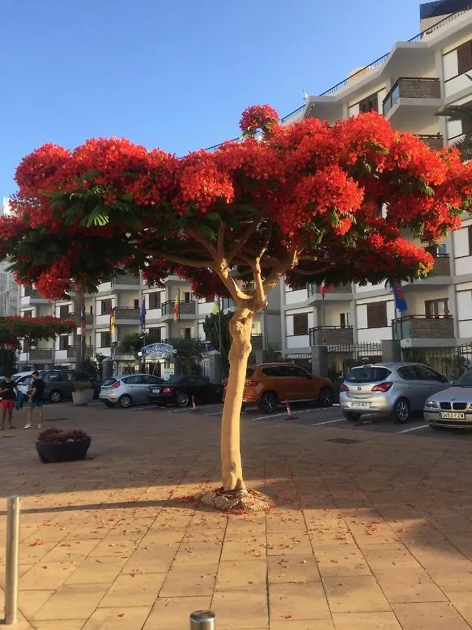 Apartamento Top Floor Sea View Central Holiday Home Maspalomas